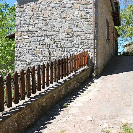 Quercus La * La Verna